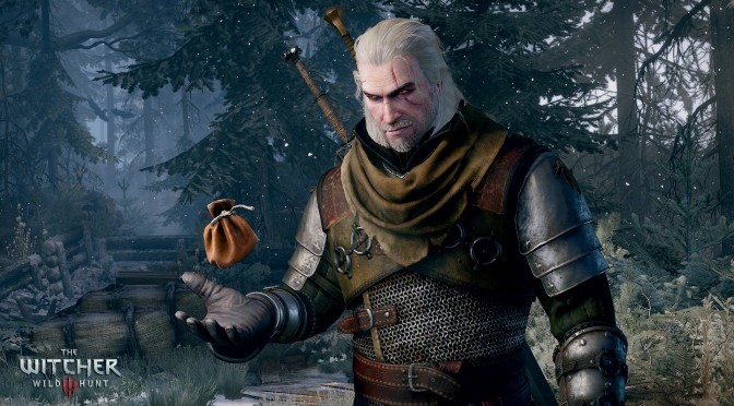 http://www.dsogaming.com/wp-content/uploads/2015/01/the-witcher-3-wild-hunt-getting-paid-best-part-of-the-job-672x372.jpg