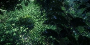 cv2newterraof61green