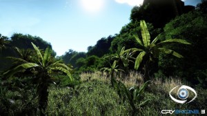 Editor25202012-02-24252023-08-06-86