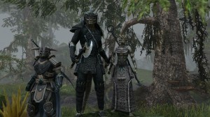 elderscrollsonline13