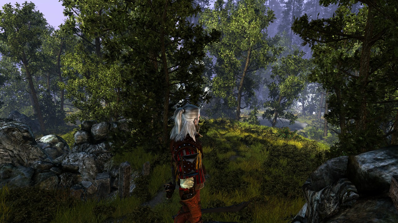 Must-Have Mods: The Witcher 2: Extreme Quality Flora Mod Released,  Eliminates Grass Pop-In