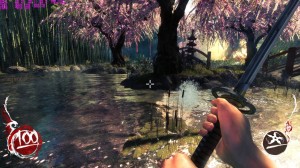 mirrors disabled no2