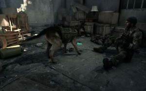 iw6sp64_ship_2013_11_26_12_15_52_81