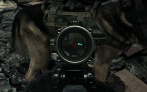 iw6sp64_ship_2013_11_26_12_16_29_16