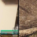 H-Hour Worlds Elite 6