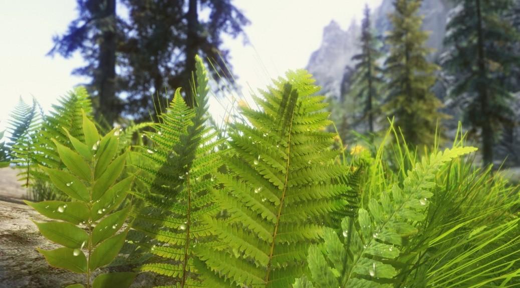 Skyrim New Environmental Screenshots Show Amazing Textures & New Lens