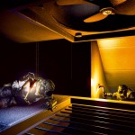 TRICELL_HQ_Battle-1_bmp_jpgcopy