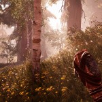 FCPrimal_2016_03_03_03_39_02_323