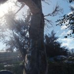 0_131dbd_2f071f64_orig