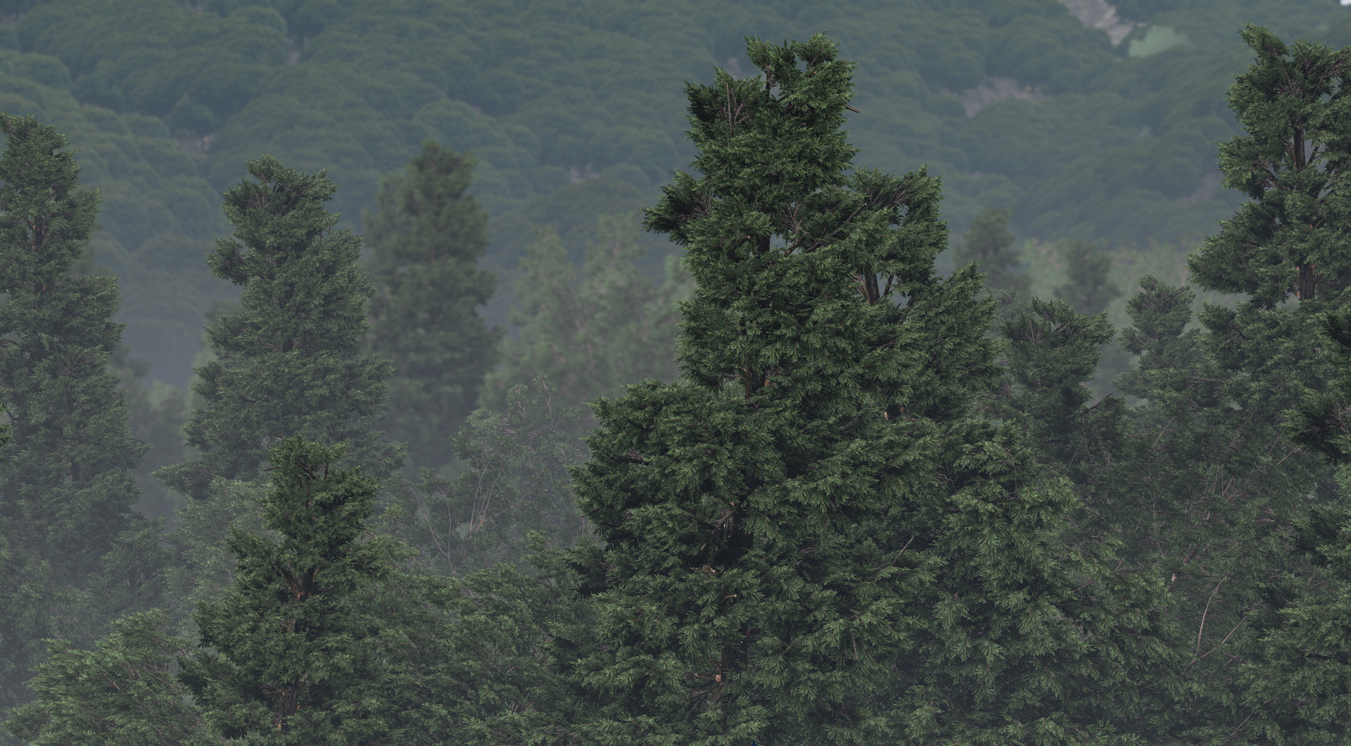 eoin-o-broin-forest02