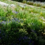 28279949150_98139fc276_o