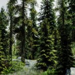 28486081001_85bcd49725_o