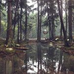 damian-stempniewski-gds-forest-lightng-a