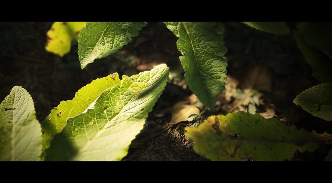 Crytek’s Senior Cinematic Artist experiments with photorealistic textures in CRYENGINE