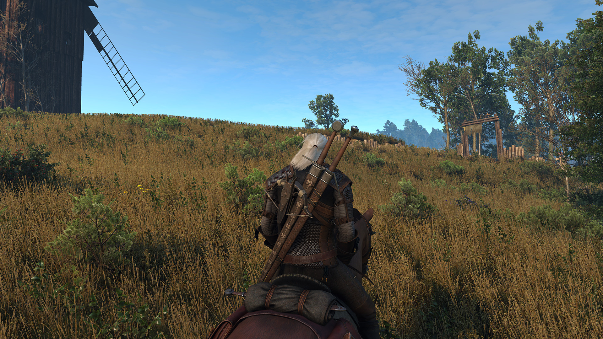 What is up with this grass?? No mods, fresh install of Witcher 3 running on  DirectX12. : r/witcher