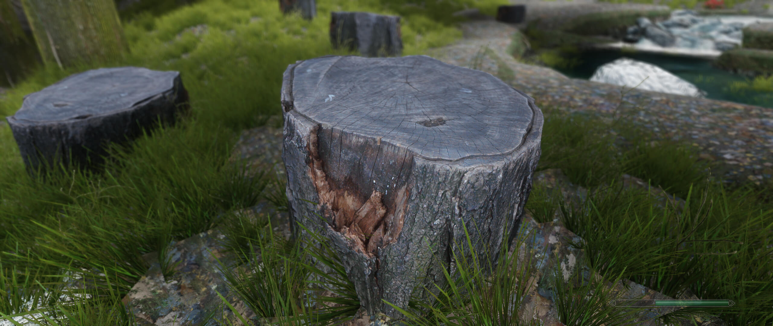 Photogrammetry Comes To Skyrim Thanks To This 4k 2k Texture Mod