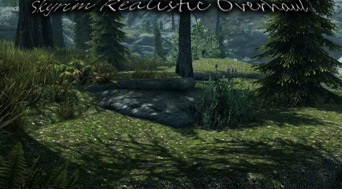 Skyrim Realistic Overhaul features 10GB and more than 1500 of high quality 2K/4K textures