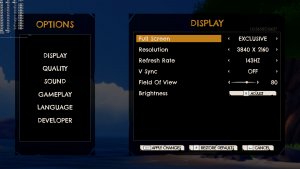 Windbound PC graphics settings-2