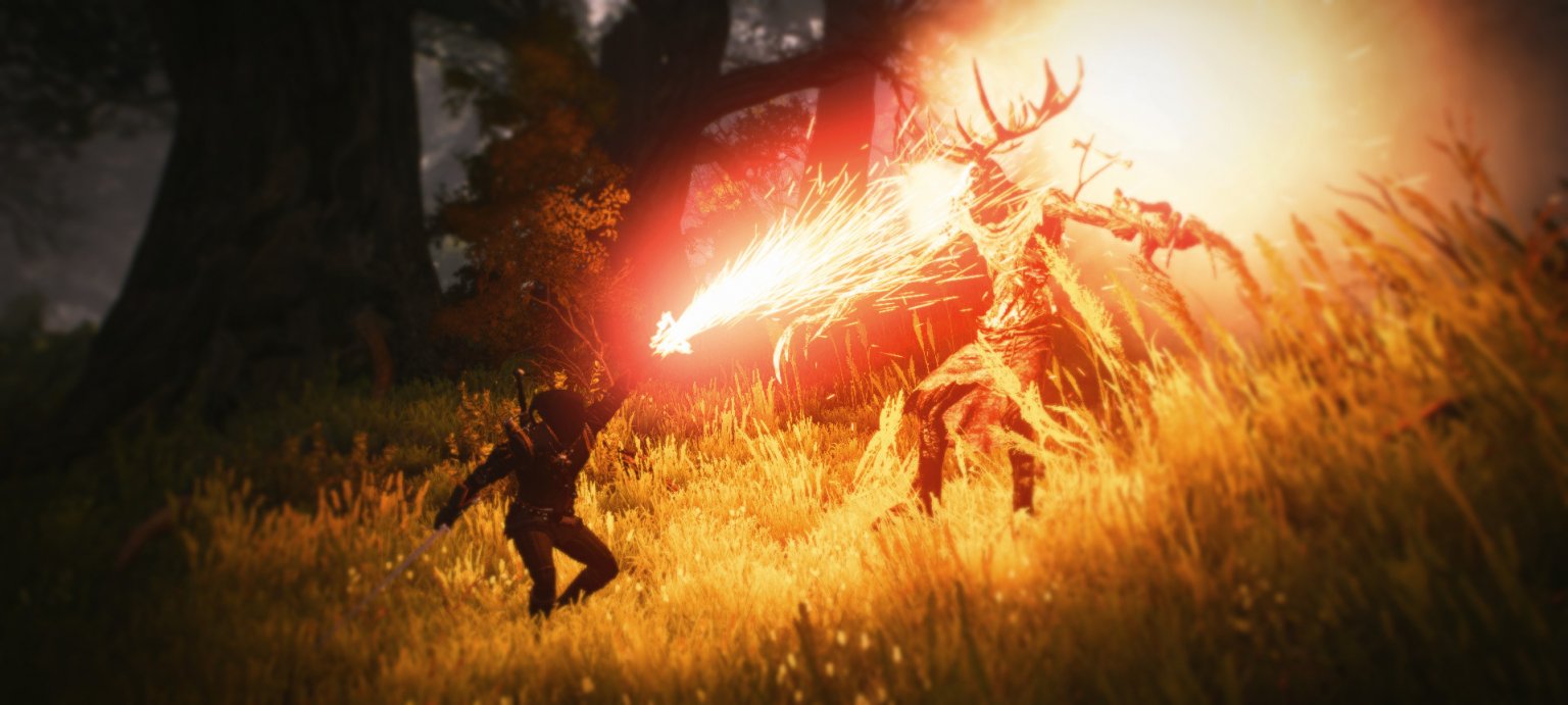 The Witcher 2 mod for The Witcher 3