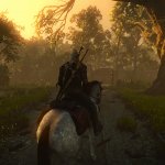 The Witcher 2 mod for The Witcher 3-5