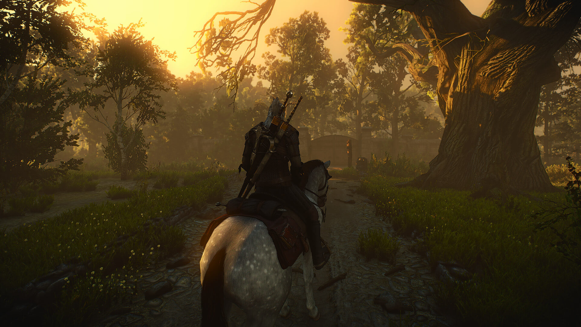 REMASTERING The Witcher 2 with 100+ Mods. 