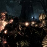 Assault on Valenwood mod for Skyrim Special Edition-4