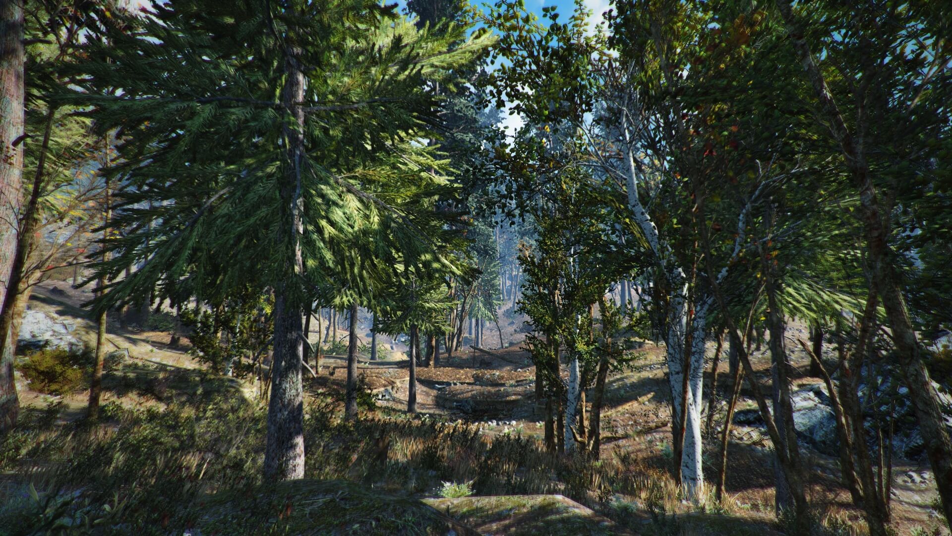 Fallout 4 seasons grass trees фото 22