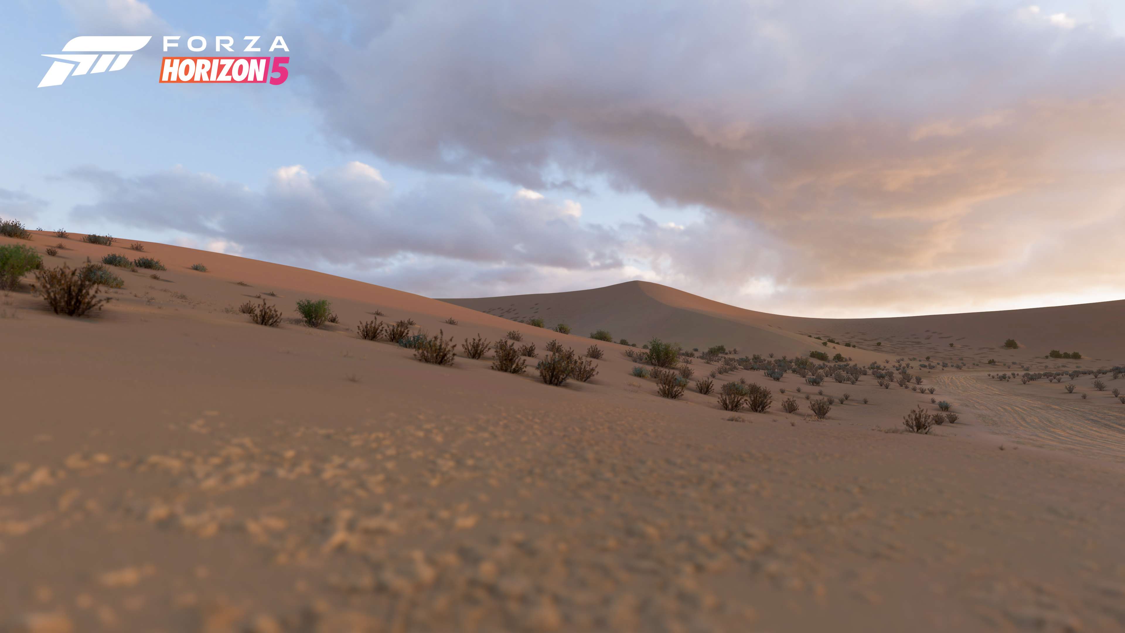 Forza-Horizon-5-screenshots-4K-5.jpg