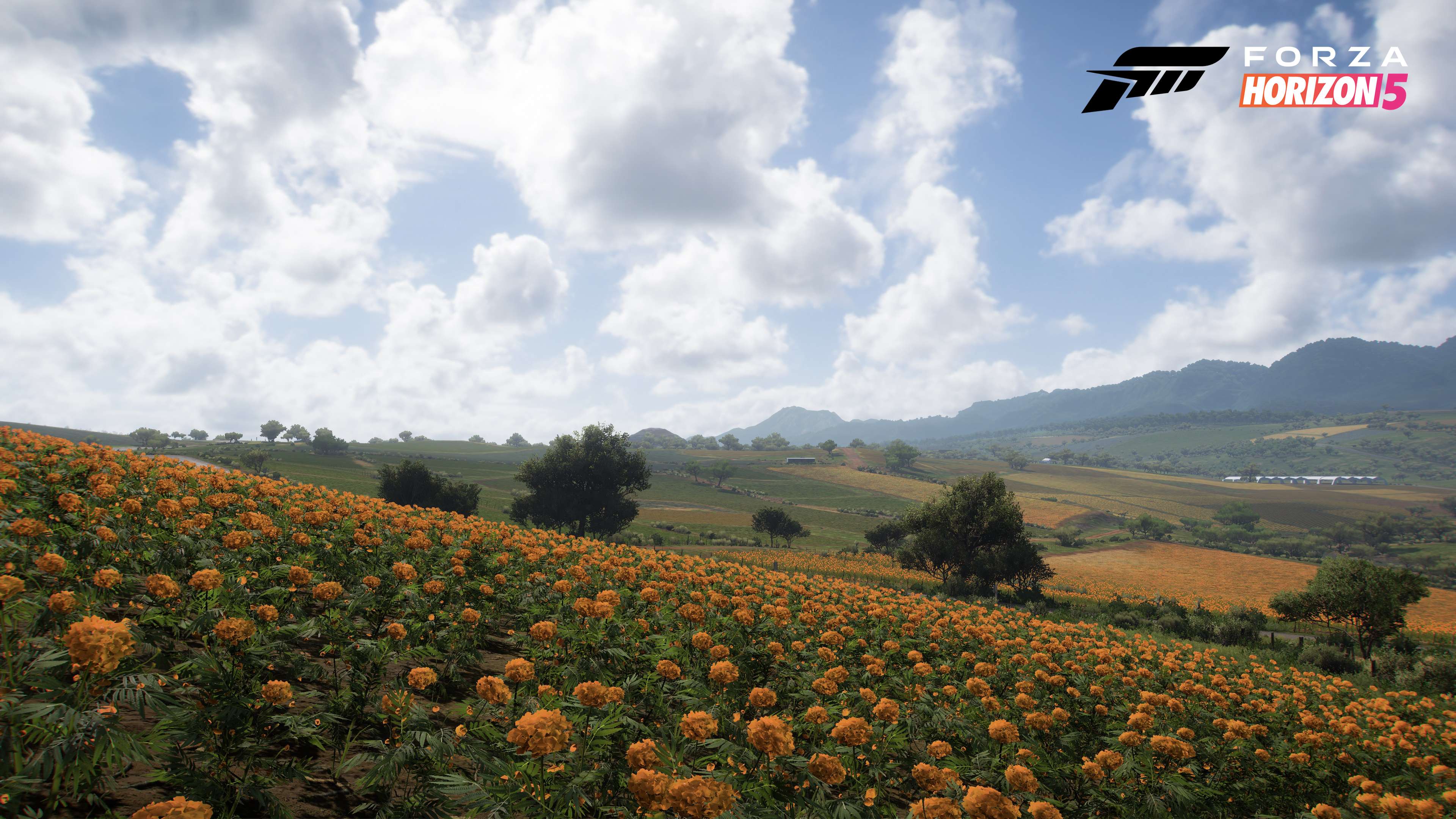 Forza-Horizon-5-screenshots-4K-9.jpg