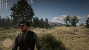 Red Dead Redemption 2 DLSS Quality-5