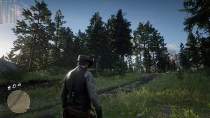 Red Dead Redemption 2 Native 4K-10