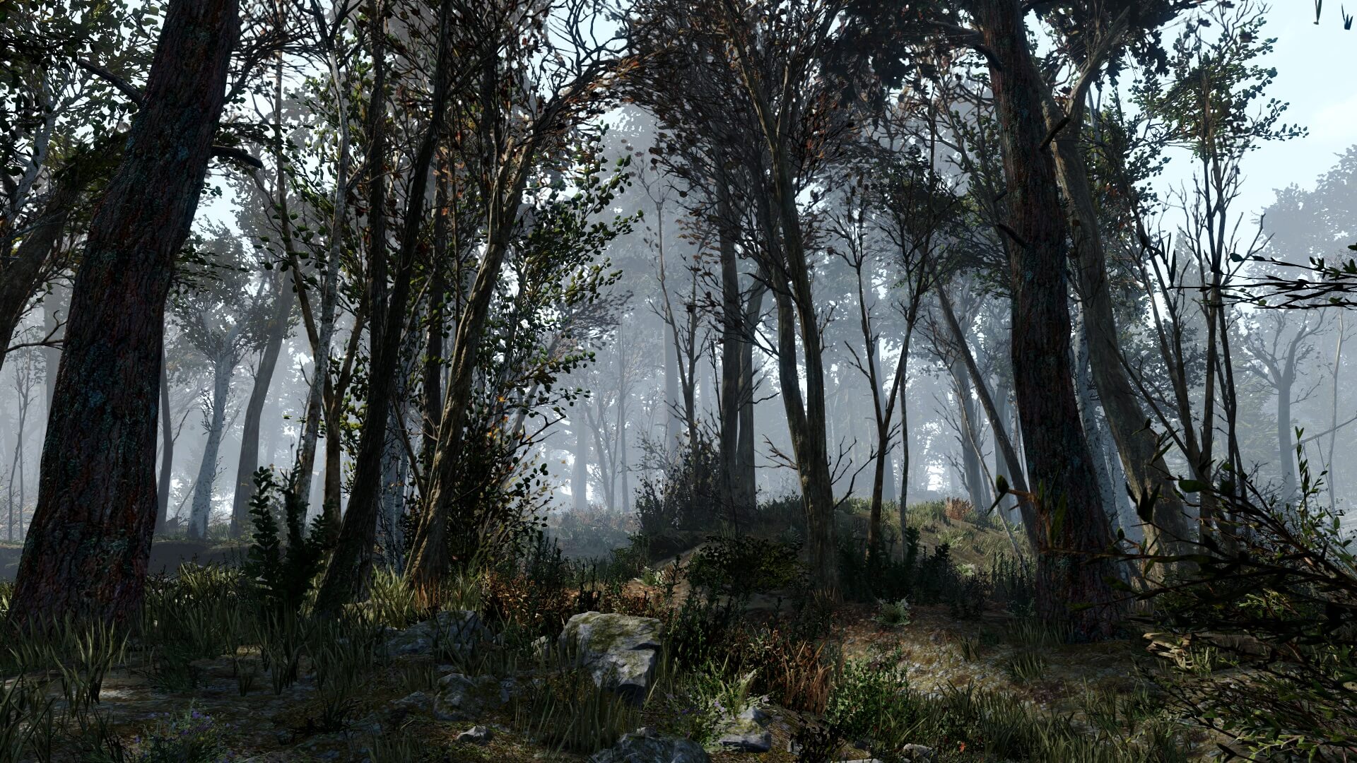 This Fallout 4 adds around 18000 additional trees the