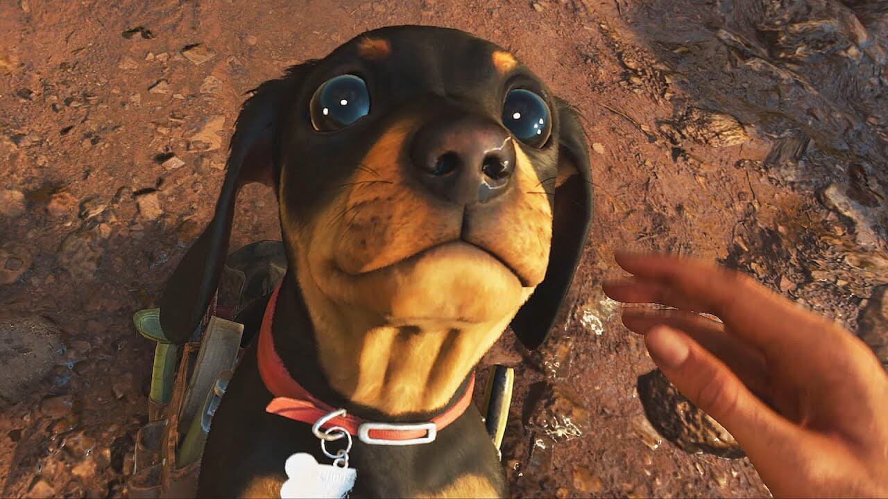 Far Cry 6 gameplay leak reveals dog, crocodile animal companions