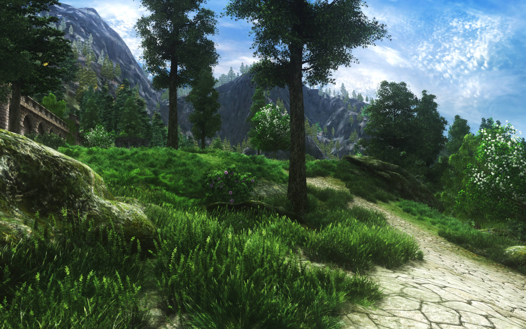 oblivion graphics overhaul mod program