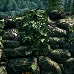 Skyrim with Borderlands graphics screenshots-5