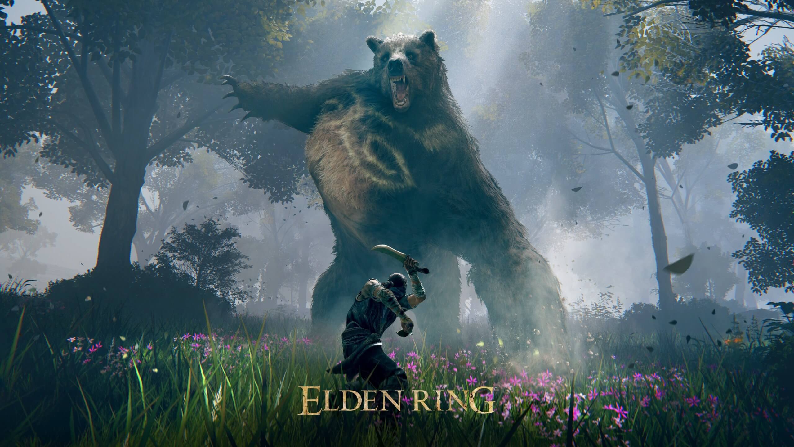 Elden Ring Wallpaper - Wallpapers Download 2024