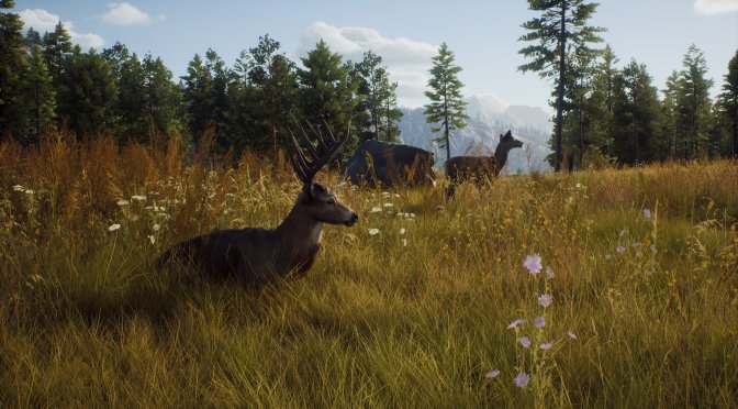 New gameplay trailer & PC system requirements for the current-gen only hunting game, Way of the Hunter