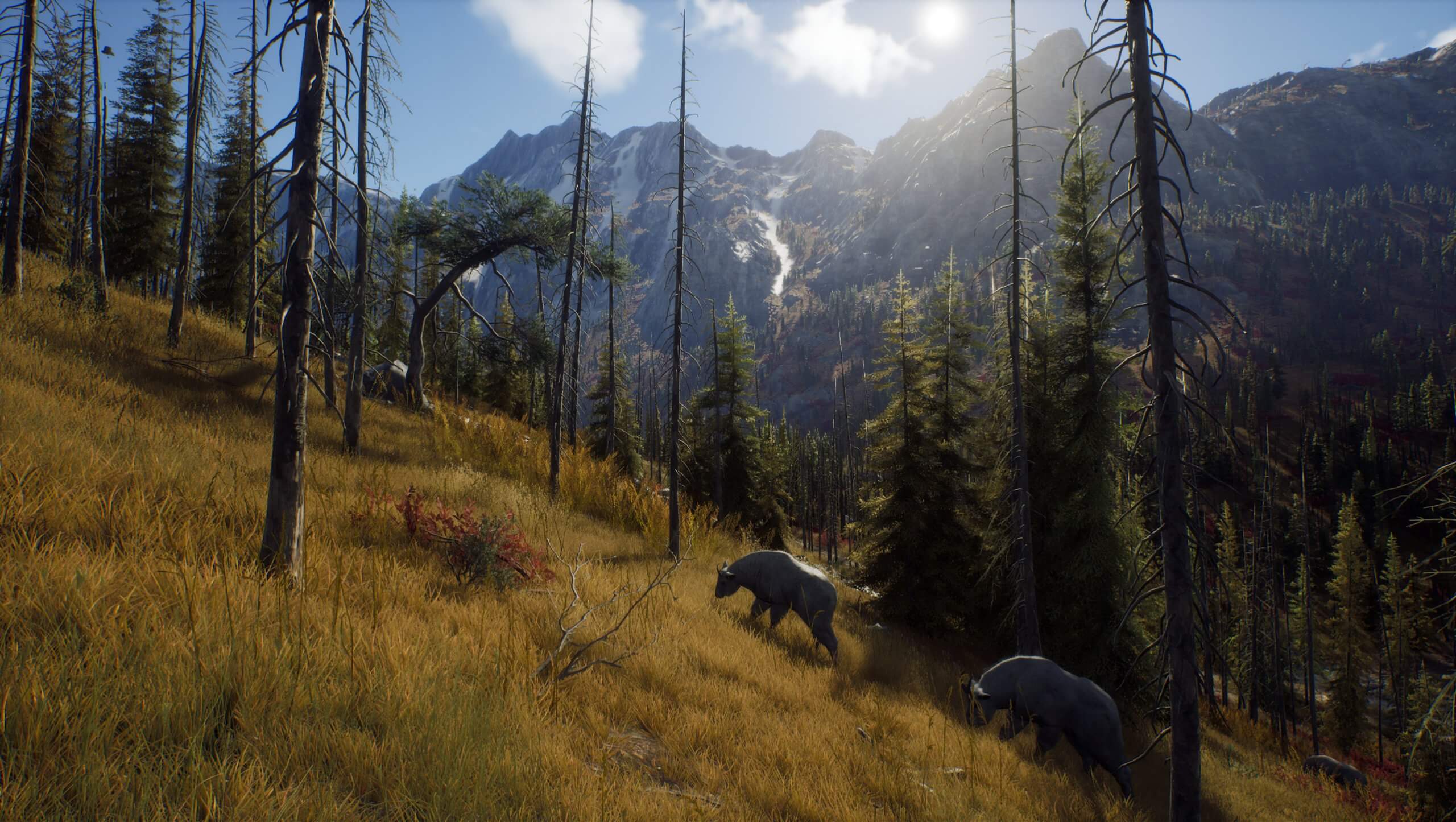Way of the Hunter is a current-gen only hunting game, first screenshots &  details