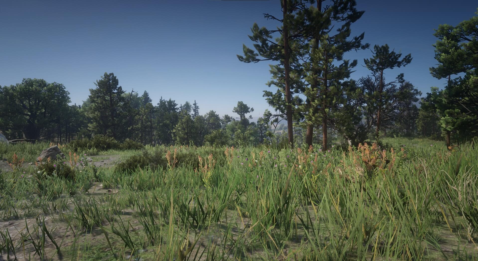 AMD FSR 2.0 Mod Now Available For Red Dead Redemption 2 On PC : r/pcgaming