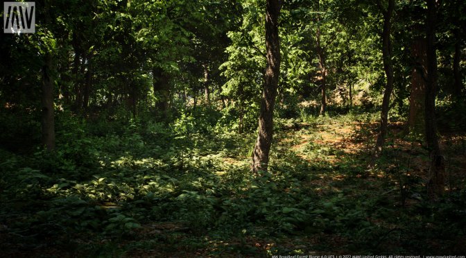 Unreal Engine 5 Broadleaf Forest Tech Demo