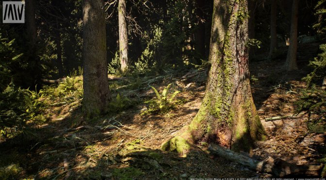 Unreal Engine 5 Conifer Forest V4.2.0 Runtime Demo