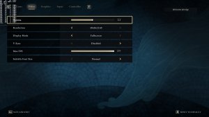 Asterigos Curse of the Stars PC graphics settings-1
