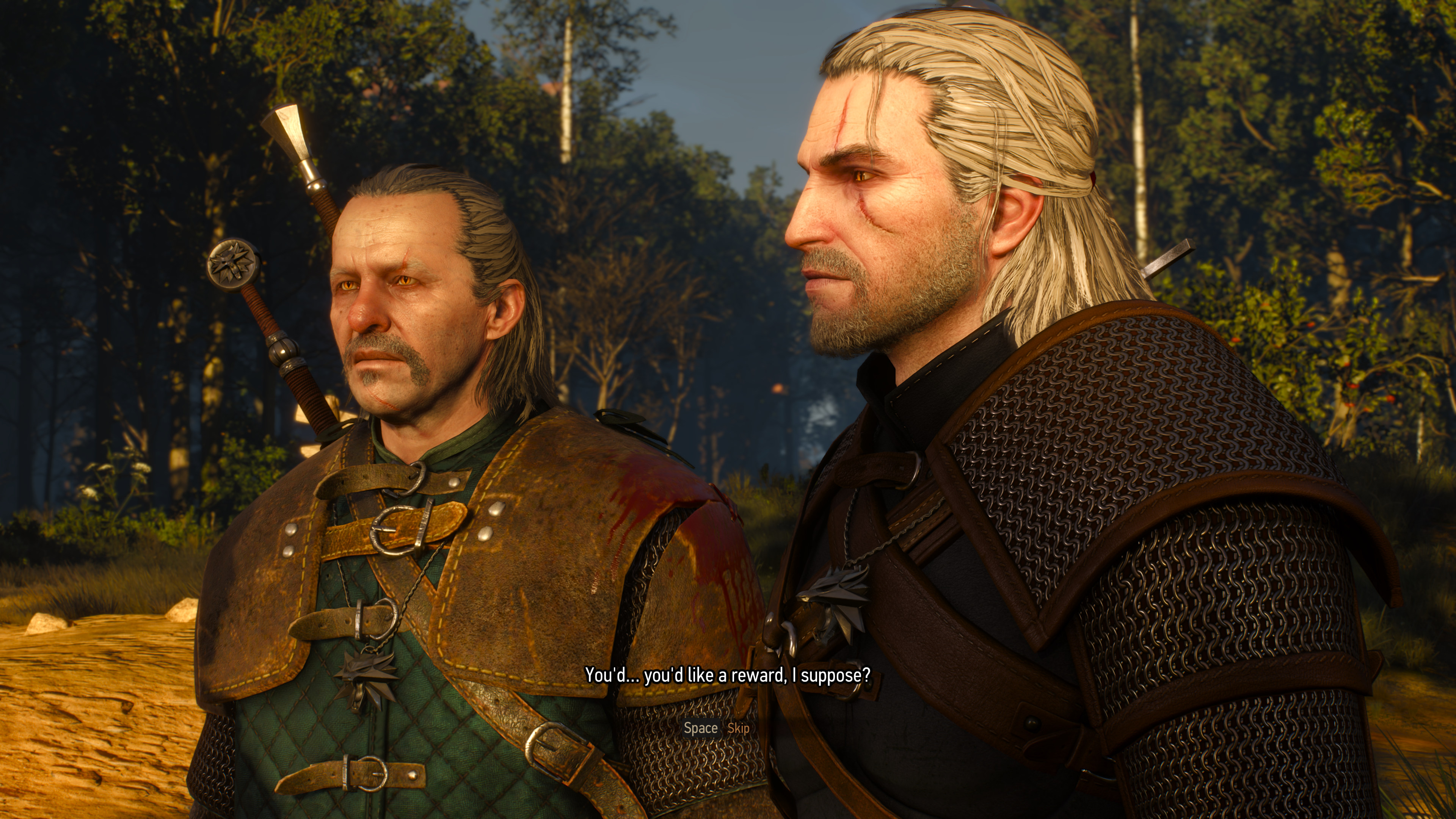 The Witcher 3 simulate save: Should you simulate a Witcher 2 save in The  Witcher 3?