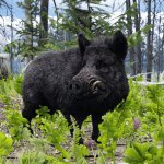 Red Dead Redemption 2 New HD Texture Pack Mammals-4