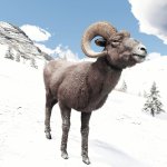 Red Dead Redemption 2 New HD Texture Pack Mammals-6