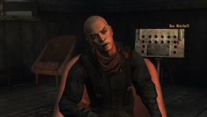 Fallout: Tale of Two Wastelands gets a 65GB HD Texture Pack