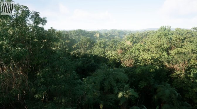 UE5.2 Tropical Rainforest