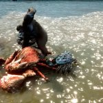 Skull Island Rise of Kong screenshots-5