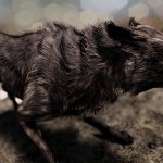 Skyrim Special Edition HD Texture Pack All Creatures-2