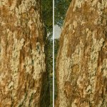 Starfield 4K Texture Packs-1